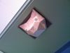 Filename=Chat.jpg
Filesize=119KiB
Dimensions=800x600
Date added=Aug 10, 2008 Chat.jpg