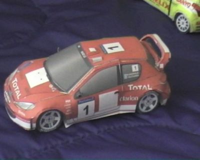 peugeot 206 rally : profil 
