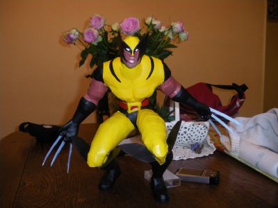 wolverine repind... aux couleurs initiales je crois me souvenir
