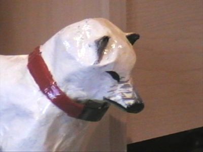 husky tete
