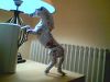 Filename=pegase2.jpg
Filesize=129KiB
Dimensions=640x480
Date added=Jan 29, 2008 pegase2.jpg