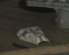 Filename=snowspeeder.JPG
Filesize=25KiB
Dimensions=720x576
Date added=May 11, 2008 snowspeeder.JPG