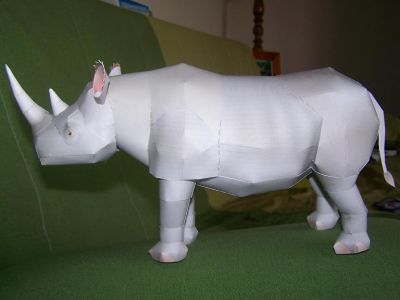 rhinocÃ©ros noir

