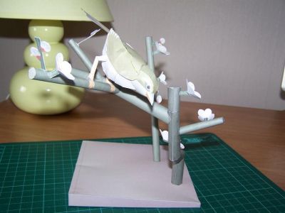 oiseau

