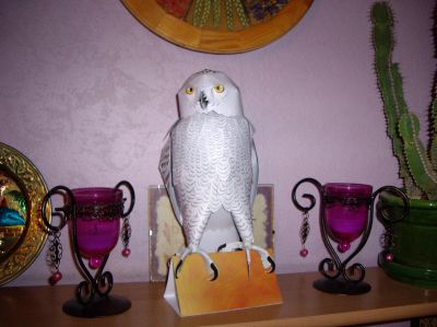 chouette
