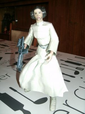 Princesse LeÃ¯a
http://noturnosukhoi.blogspot.com/
