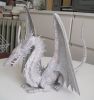 dragon5.jpg