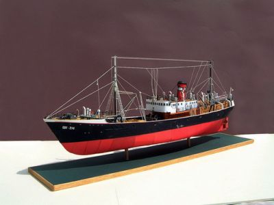 Radomka - Pro model
