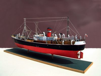 Radomka - Pro model
