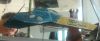 Filename=5~3.jpg
Filesize=17KiB
Dimensions=400x167
Date added=Mar 17, 2009 5~3.jpg