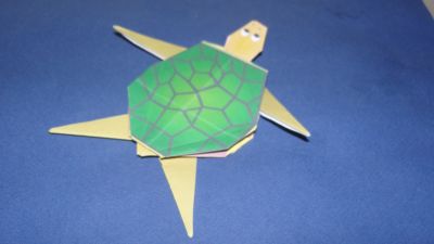 Une Tortue
