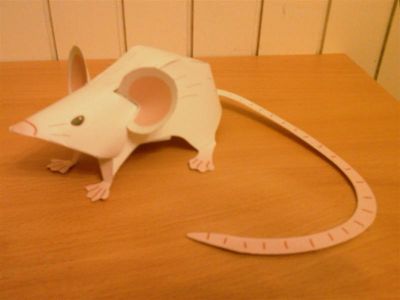 Petite souris
c'est mon premier modÃ¨le. je l'ai fait pour mon Ã©pouse

