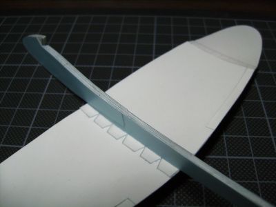 Planeur Racer539 Hawk de Canon
