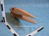 Filename=665770029.jpeg
Filesize=5KiB
Dimensions=150x112
Date added=Aug 18, 2011 665770029.jpeg