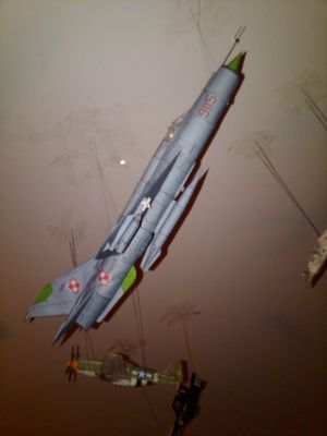 IMG00026-20101030-2158.jpg