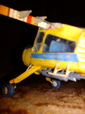 IMG01019-20100925-2249.jpg