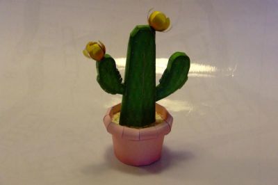 cactus

