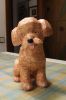 Filename=perrito.jpg
Filesize=185KiB
Dimensions=427x640
Date added=Jan 01, 2010 perrito.jpg