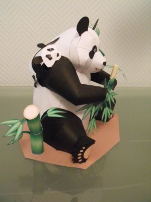 Panda Epson
