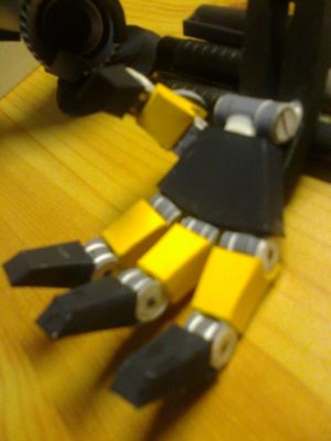 Bumblebee
Gros plan sur la main
