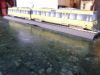 Filename=BW.jpg
Filesize=610KiB
Dimensions=2048x1536
Date added=Jan 31, 2012 BW.jpg
