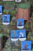 SWMiniatures_Endor_20151028_201234.jpg