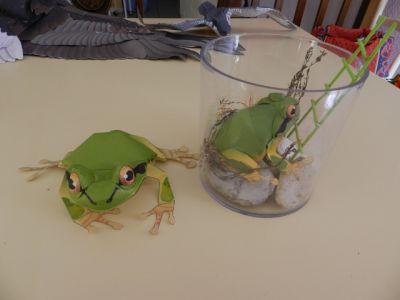 Grenouille
Les 2 versions Ã©ditÃ©es sur Papier A3 & A4
Le modÃ¨les A4 est mis en "Mode" BaromÃ¨tre dans son Ã©lÃ©ment !!!
IdÃ©e Originale de Diorama !
