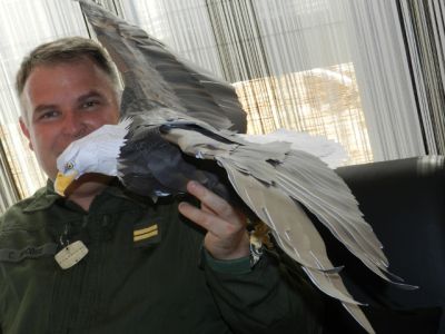 Aigle A3
Encore un modÃ¨le de Canon Creative Ã©ditÃ© en format A3 !
Prochaine Ã©tape avant la fin de l'annÃ©e. Une version "radio commandÃ©e" en trichant sur des ailes en DÃ©pron !
