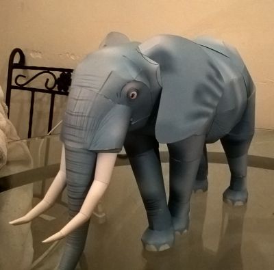 Elephant
