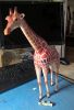 Filename=Girafe01.jpg
Filesize=370KiB
Dimensions=1412x2048
Date added=Jan 24, 2016 Girafe01.jpg