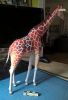 Filename=Girafe02.jpg
Filesize=331KiB
Dimensions=1400x2048
Date added=Jan 24, 2016 Girafe02.jpg