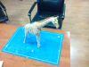 Filename=girafe2.jpg
Filesize=482KiB
Dimensions=2048x1536
Date added=Nov 06, 2014 girafe2.jpg