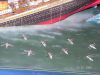 Filename=pict0004.JPG
Filesize=395KiB
Dimensions=1600x1200
Date added=Feb 09, 2016 pict0004.JPG