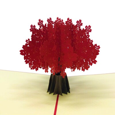 Carte pop up fleure de cerise
Voilà c'est une carte pop up.
https://cadeaupapier.fr
Keywords: fête des mères pères popup carte de voeux