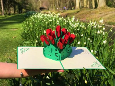 IMG_1123
Carte de vœux 3d de CadeauPapier 
--> https://cadeaupapier.fr
Keywords: Carte pop up Carte de voeux Kirigami Fête des mères