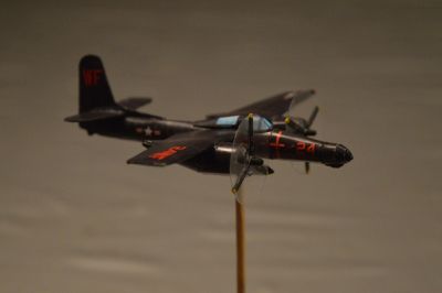5-Tiger_28129.jpg
