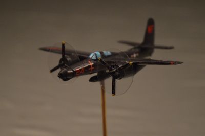 5-Tiger_28229.jpg