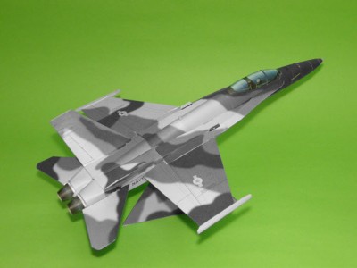 F-18C_NSAWC_gray_1.jpg