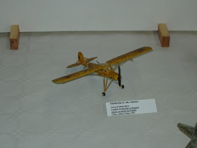 Fiseler avion.JPG