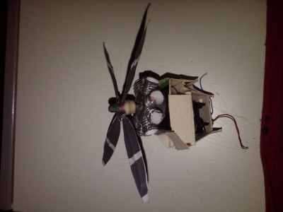 IMG00282-20110708-1757.jpg