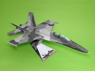 F-18C_NSAWC_gray_2.jpg