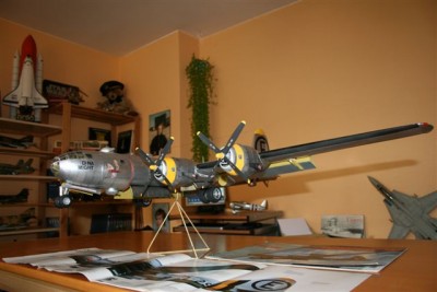 B29%20008.jpg
