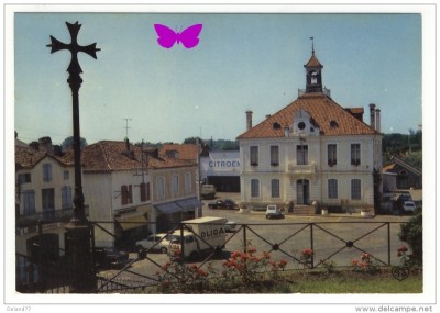 0185_hy_olida.jpg