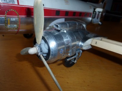 P1010034.JPG