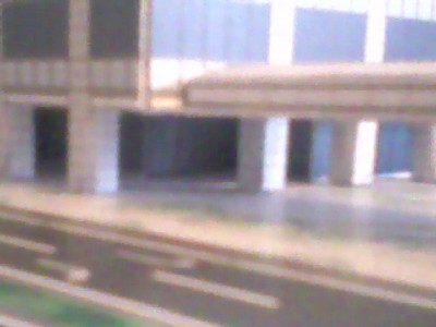 MMP7.jpg