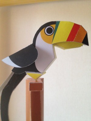 Toucan 2.jpg