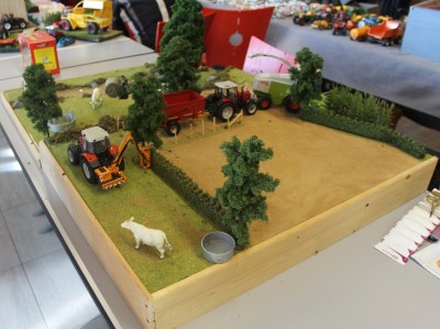 Expo Taponnat - 12 février 2023 (45).JPG