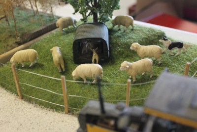 Expo Taponnat - 12 février 2023 (60).JPG