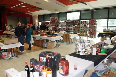 Expo Miniatures Agricoles - Taponnat 2024 (3).JPG