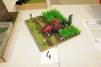 Expo Miniatures Agricoles - Taponnat 2024 (78).JPG